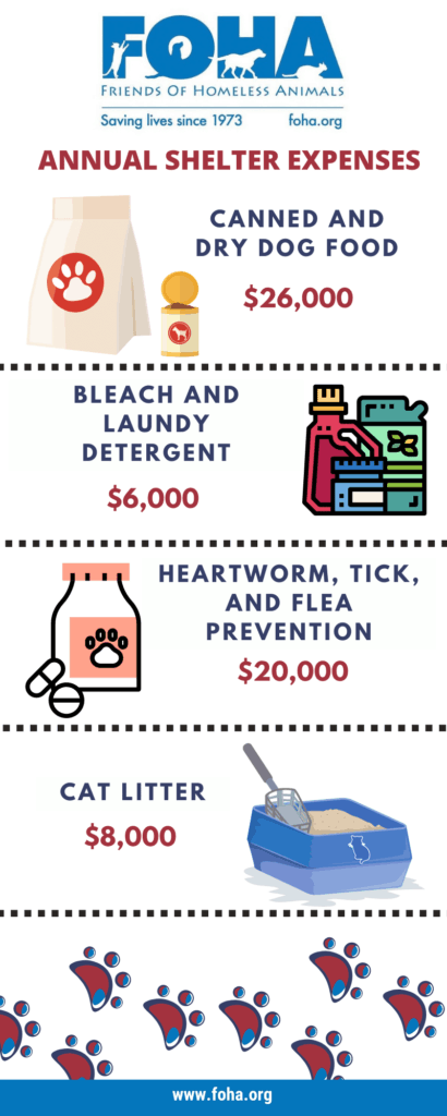 Impact And Financials Friends Of Homeless Animals impact-and-financials-friends-of-homeless-animals