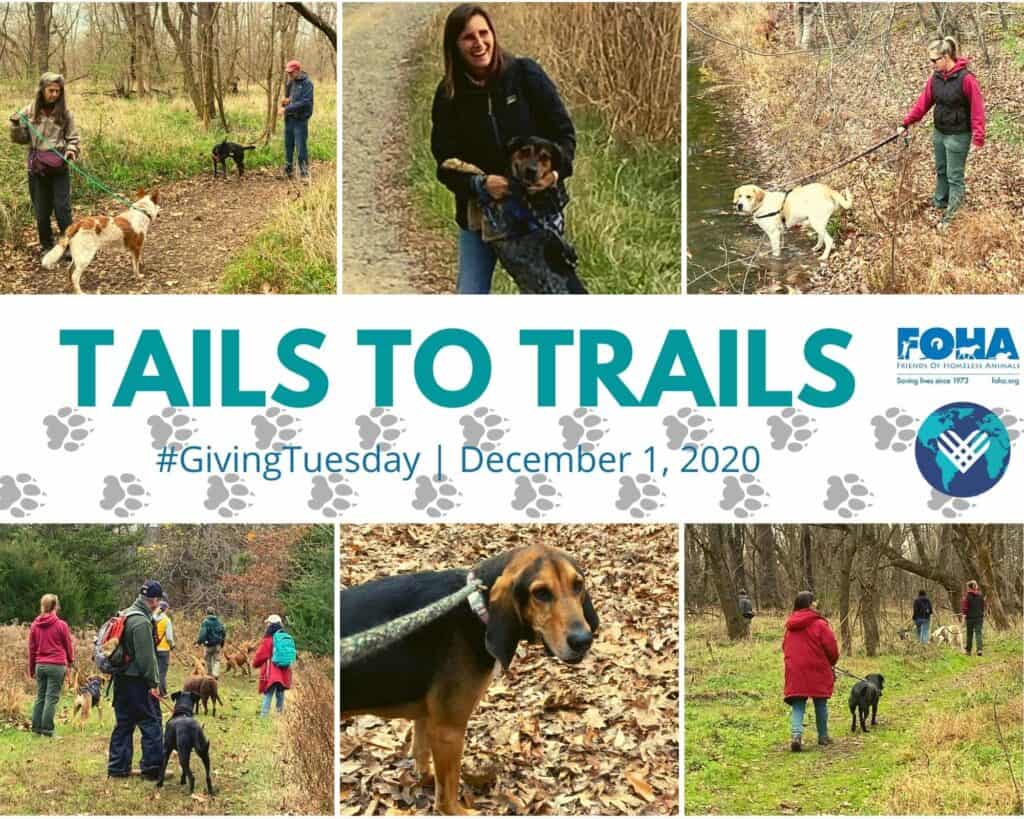 Tails to Trails