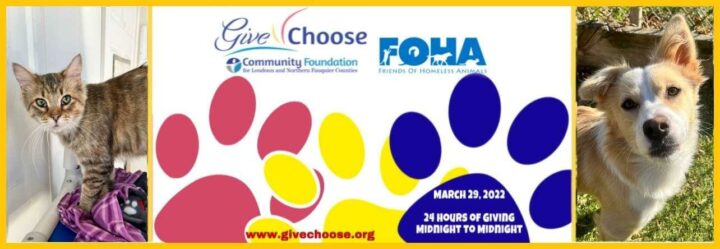 Friends of Homeless Animals Virginia | Saving Lives Since 1973