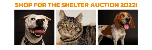 SHOP THE SHELTER AUCTIOn (2)