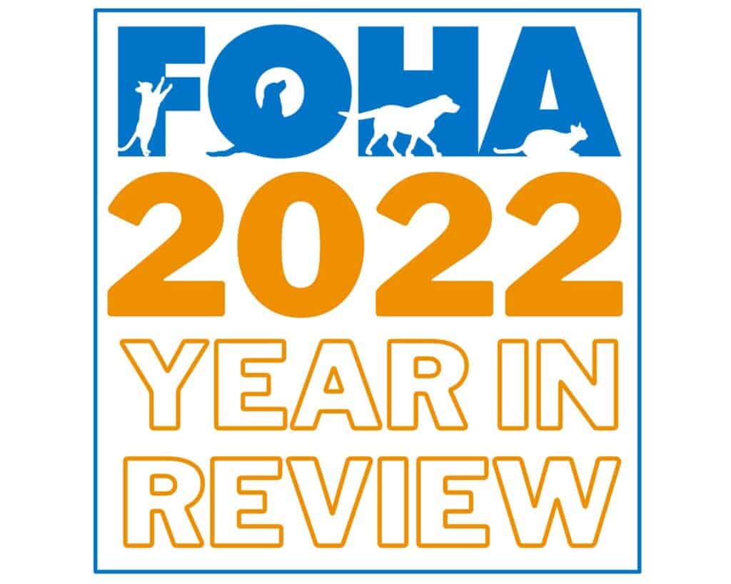 2022 Year In Review