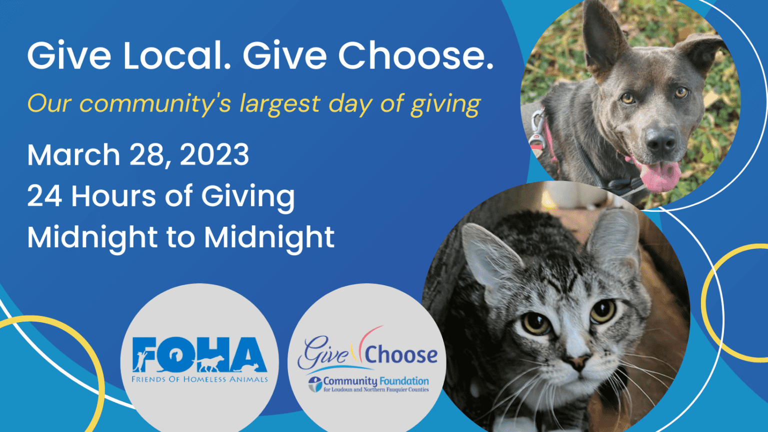 Friends of Homeless Animals Virginia | Saving Lives Since 1973