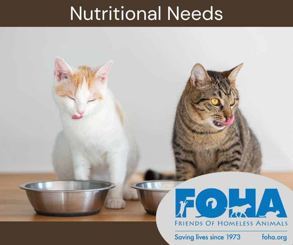 Nutritional Needs Nutritional Needs