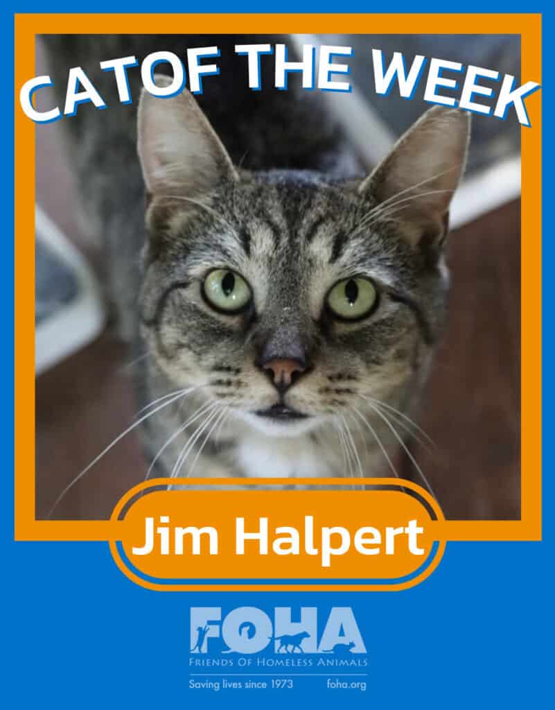 Pet of the week.zip - 8_11 - Jim