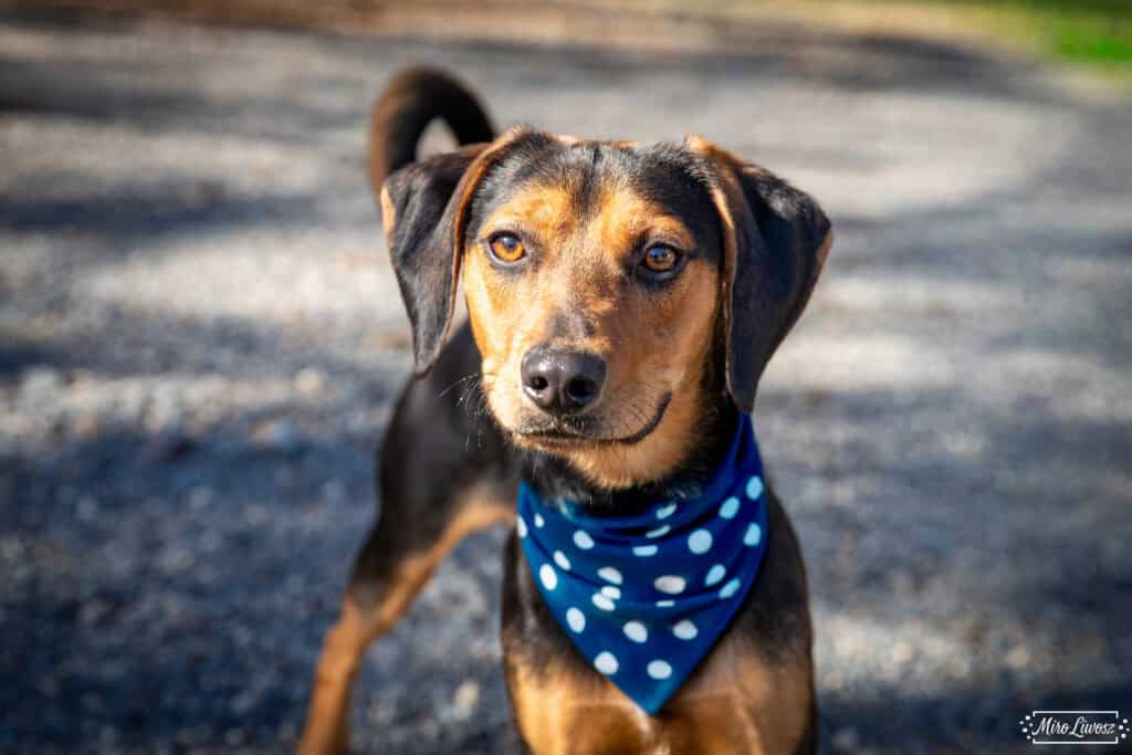 Beetlejuice-2 Beetlejuice-2