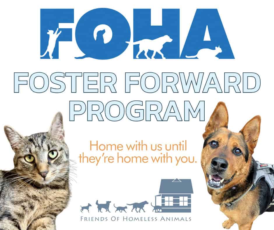 FOSTER FORWARD PROGRAM FOSTER FORWARD PROGRAM