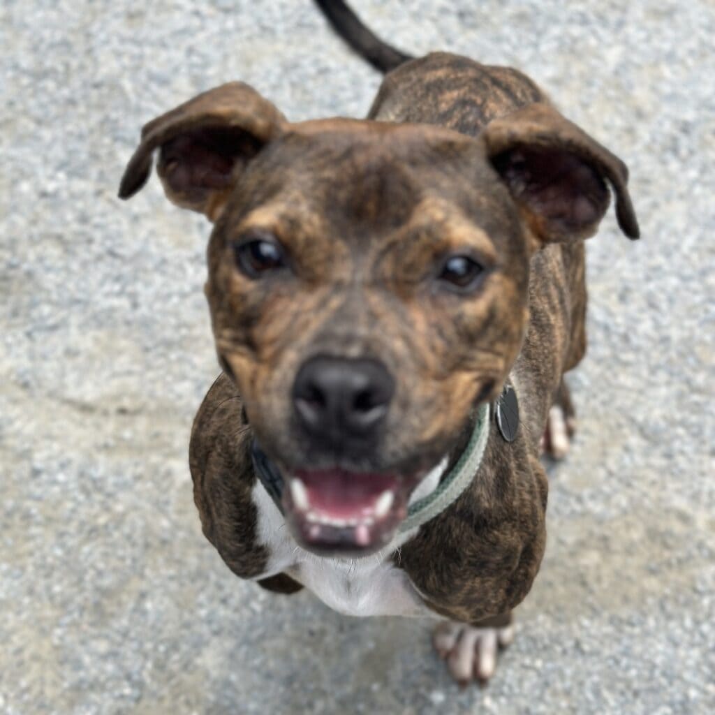 85dcad2153be4235b798c10f68a4bdef