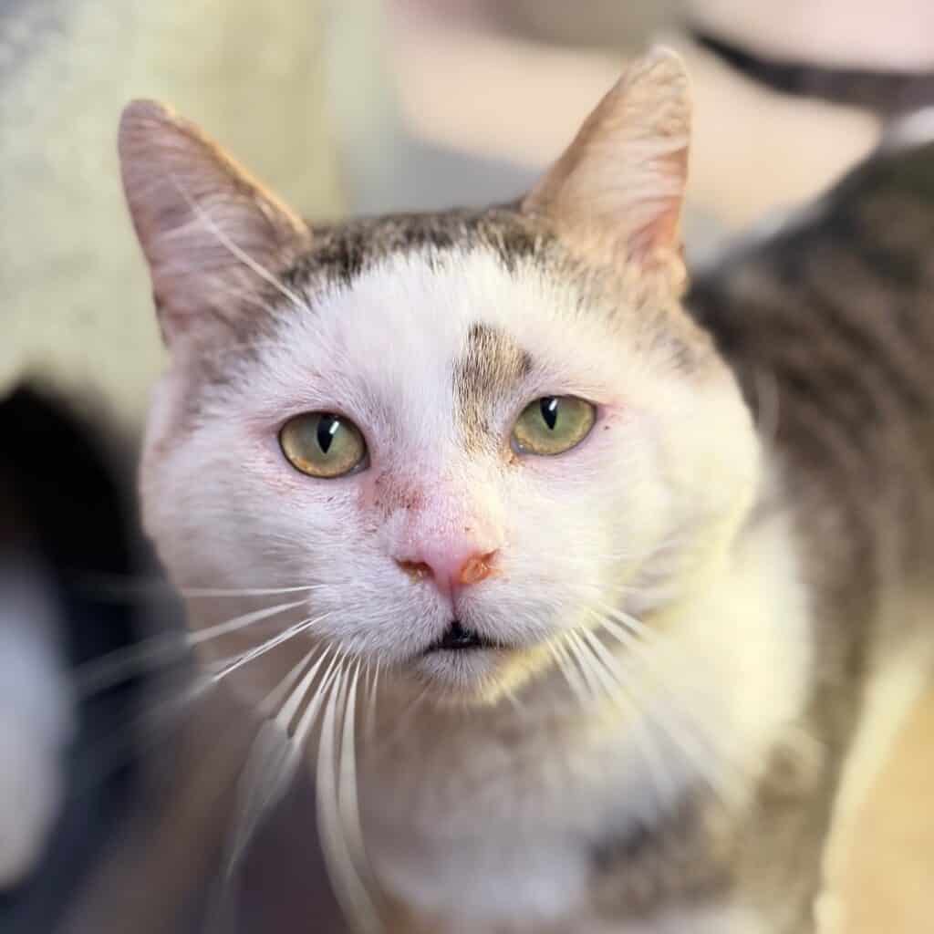 927a195924b0474884bdf9d13ac8afa8