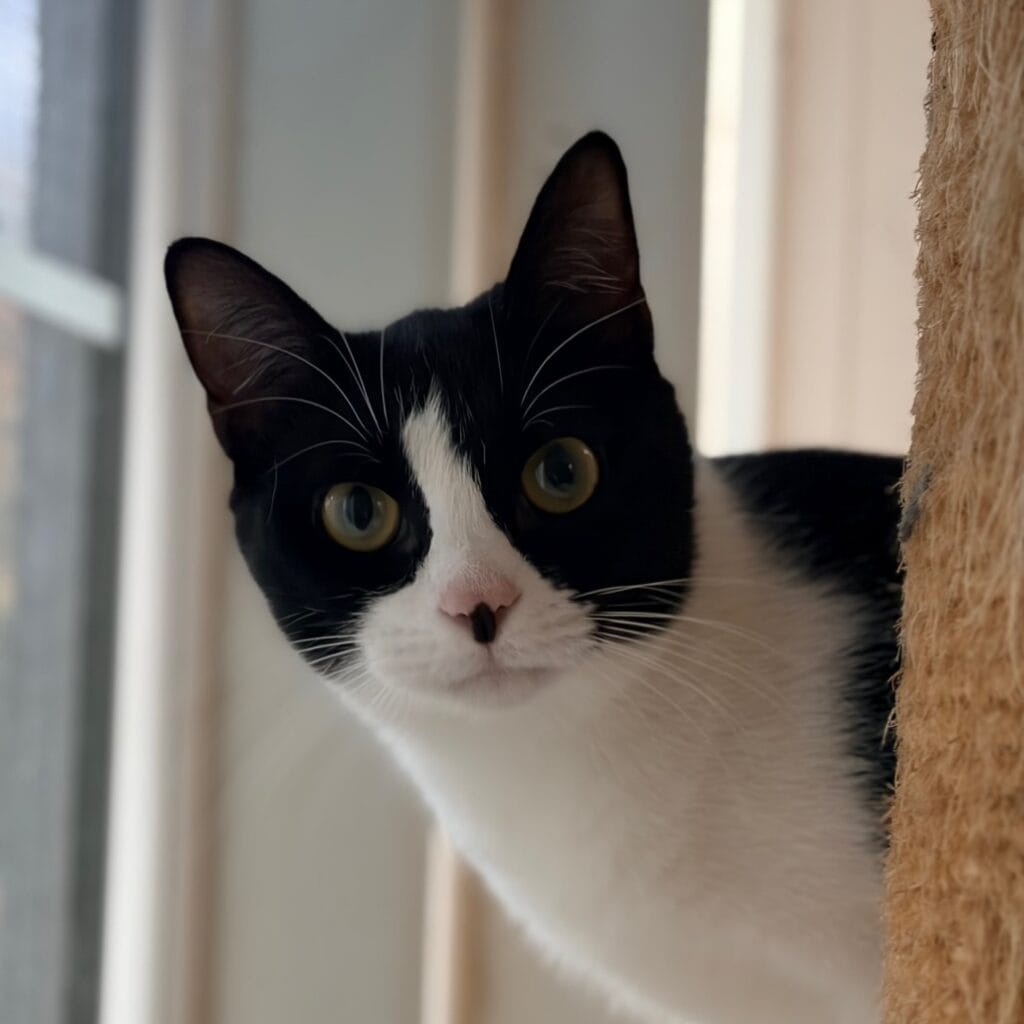 a9ce44d206c307fd8f56b6db0399f704