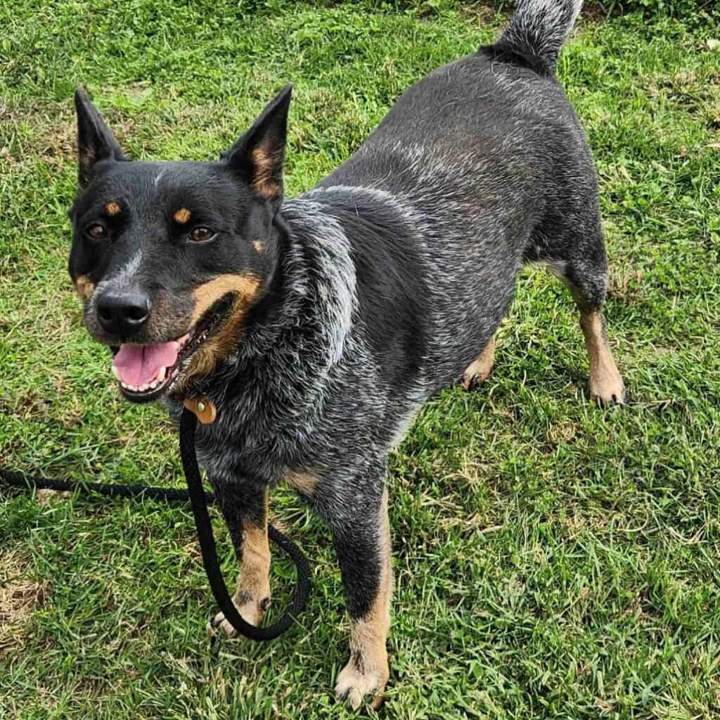 e58019e95c1d777d7b694c9b8d7c0a77