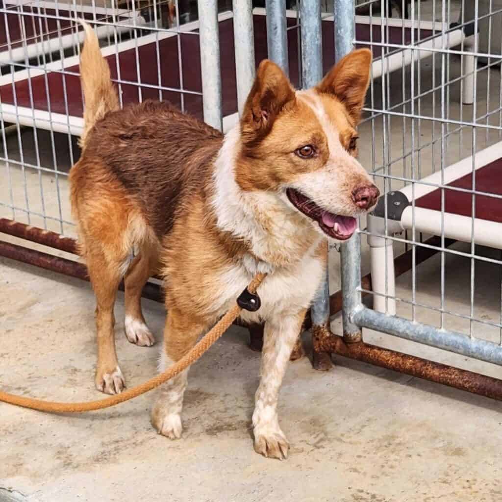 f690354b75b39a6ddd2dad41012fb286