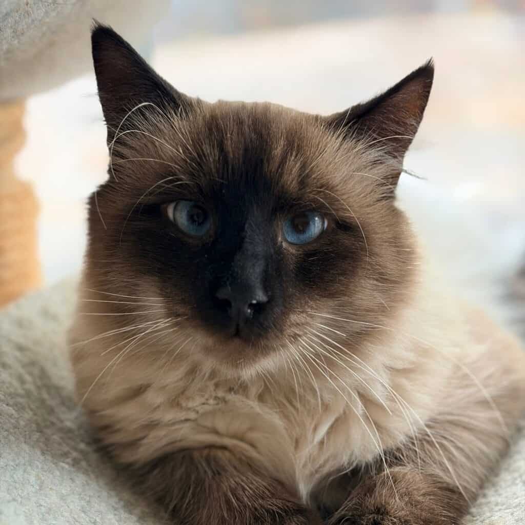 fede6e8526adfa008cc2a0dfc2906dd2