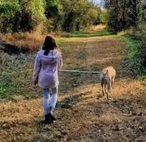 Person walking a dog outside, both moving away from camera. Friends of Homeless Animals, located in Aldie, Virginia, has a number of homeless dogs (and cats) available for adoption.