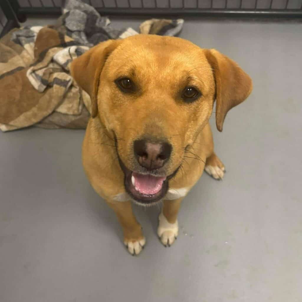 02dffb8dc7e9ce4eea4592ee05711307