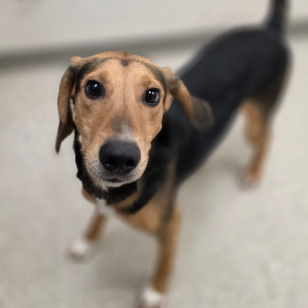 9415a8f778235b82ac5440704318e7d2