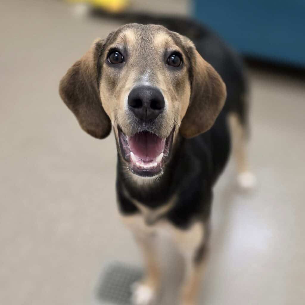 a24289bc63f6dc50283f8c5476e0aaff