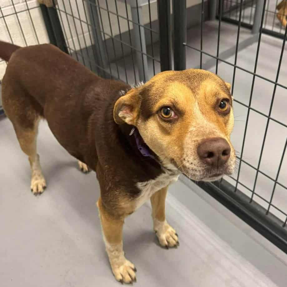 a6a4833cffe70c260a077c41a2099ab2