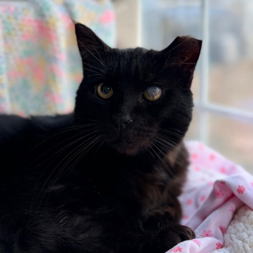 8ec4f25873440796f498de1b9b61fe30