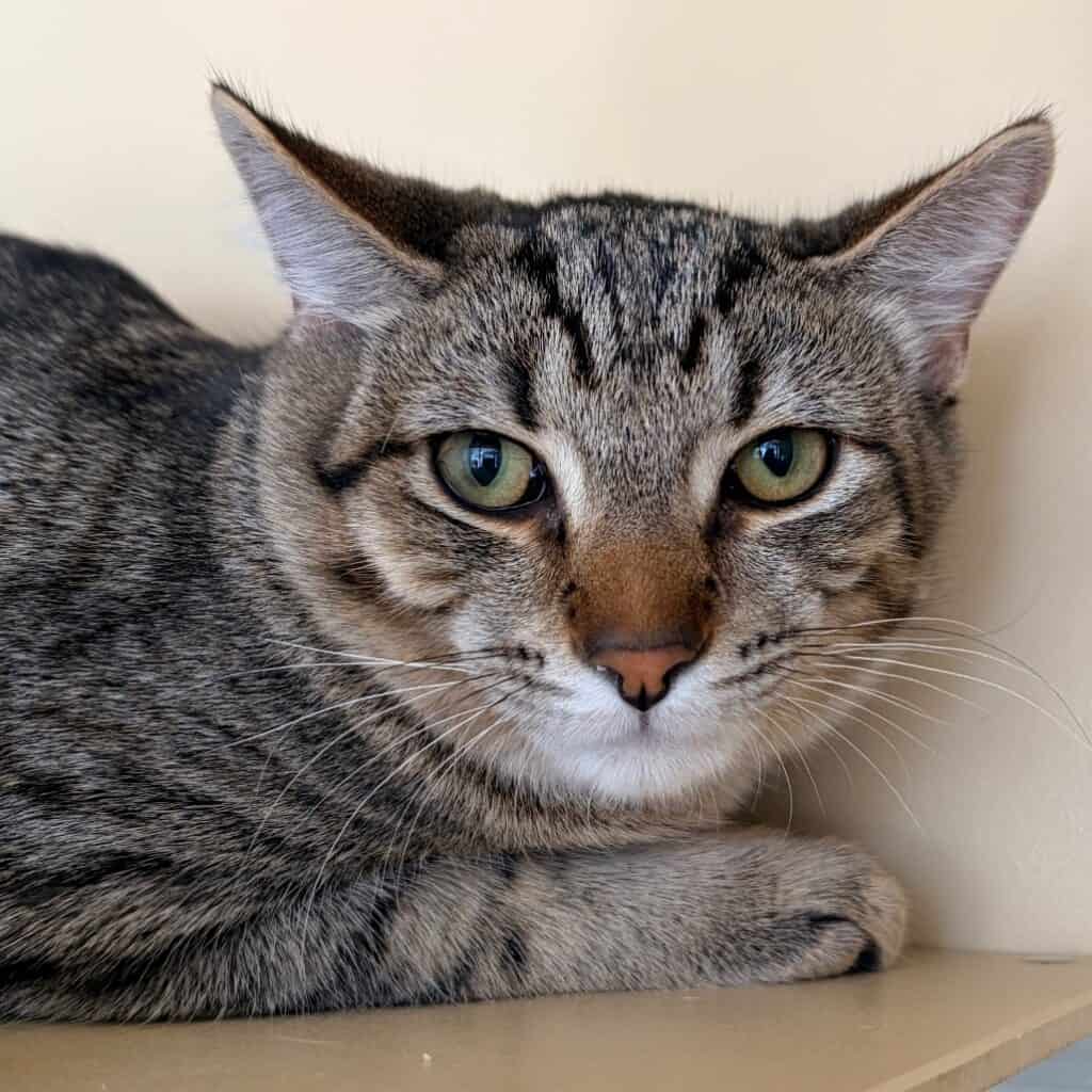 95c840e9c491857445cba8dc2cdfe8e4