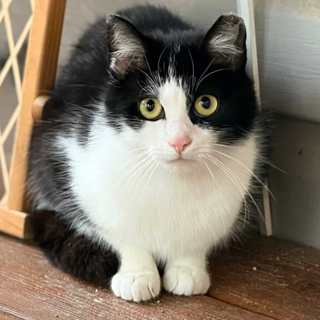 f01935d3c0b98f6990bb00bec040e891