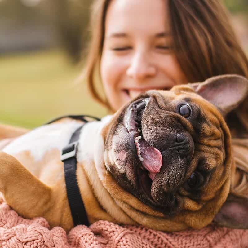 Dog laying on its side with its tongue out